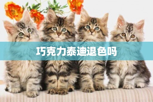 巧克力泰迪退色嗎