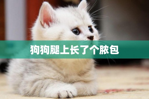 狗狗腿上長了個膿包