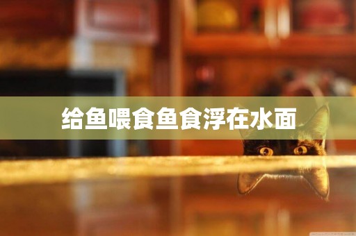 給魚喂食魚食浮在水面