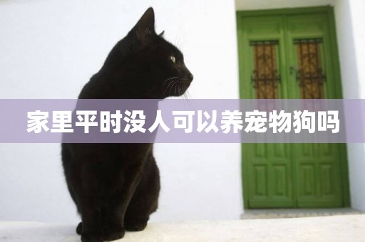 家里平時沒人可以養寵物狗嗎