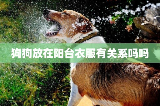 狗狗放在陽臺衣服有關系嗎嗎