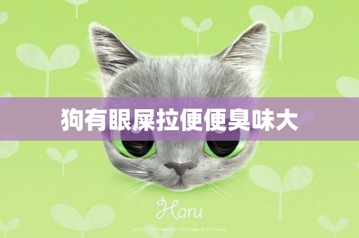 狗有眼屎拉便便臭味大