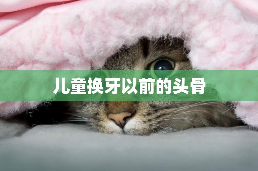兒童換牙以前的頭骨