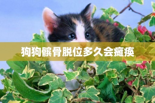 狗狗髕骨脫位多久會癱瘓