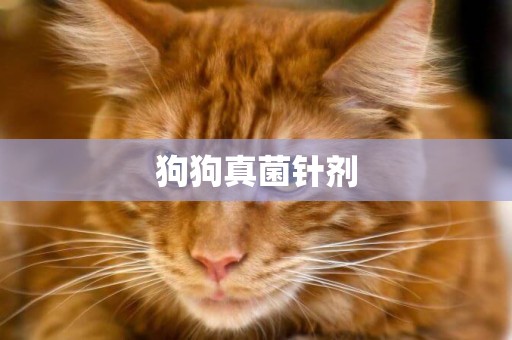 狗狗真菌針劑