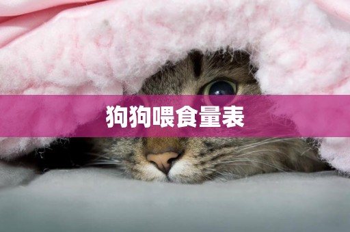 狗狗喂食量表