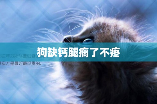 狗缺鈣腿瘸了不疼