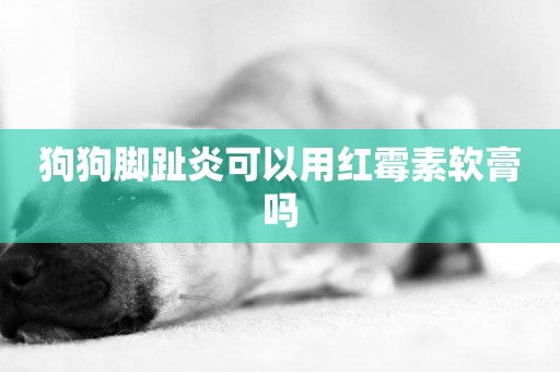 狗狗腳趾炎可以用紅霉素軟膏嗎