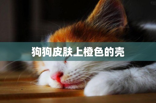 狗狗皮膚上橙色的殼