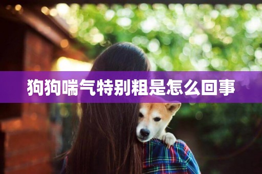 狗狗喘氣特別粗是怎么回事