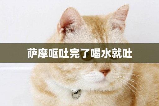 薩摩嘔吐完了喝水就吐