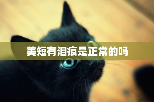 美短有淚痕是正常的嗎