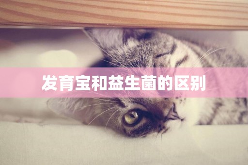 發育寶和益生菌的區別