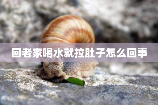 回老家喝水就拉肚子怎么回事