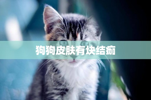 狗狗皮膚有塊結痂