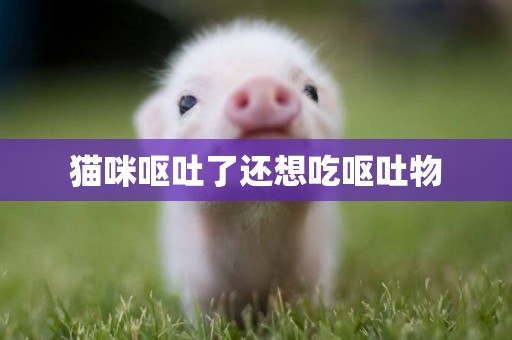 貓咪嘔吐了還想吃嘔吐物