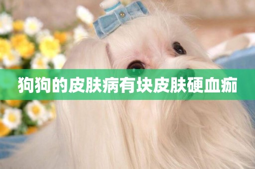 狗狗的皮膚病有塊皮膚硬血痂