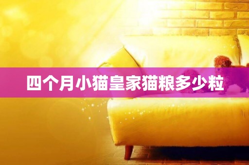 四個月小貓皇家貓糧多少粒