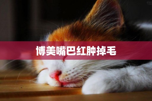 博美嘴巴紅腫掉毛