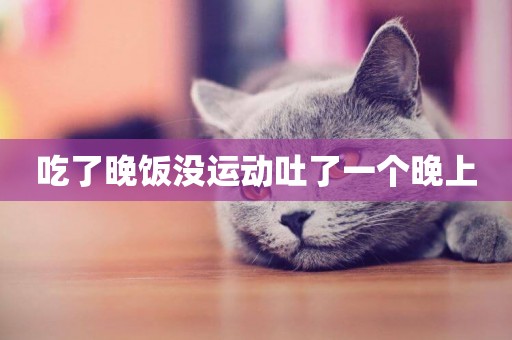 吃了晚飯沒運動吐了一個晚上