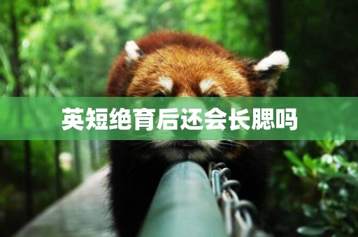 英短絕育后還會長腮嗎