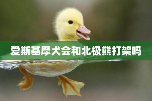 愛斯基摩犬會和北極熊打架嗎