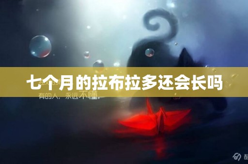 七個月的拉布拉多還會長嗎
