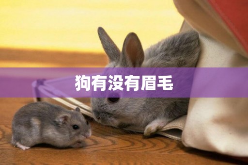 狗有沒有眉毛