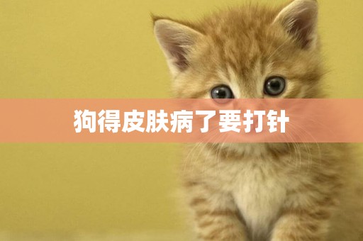 狗得皮膚病了要打針