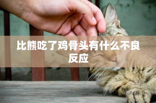 比熊吃了雞骨頭有什么不良反應