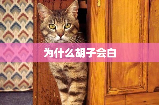 為什么胡子會白