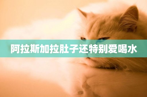 阿拉斯加拉肚子還特別愛喝水