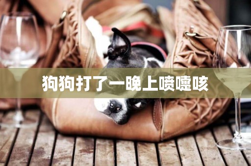 狗狗打了一晚上噴嚏咳