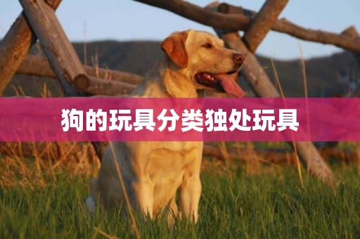 狗的玩具分類獨處玩具