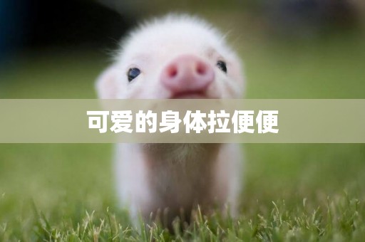 可愛的身體拉便便