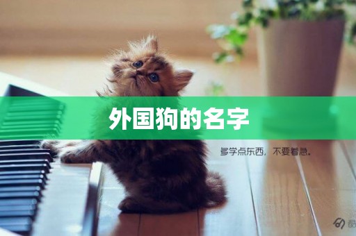 外國狗的名字