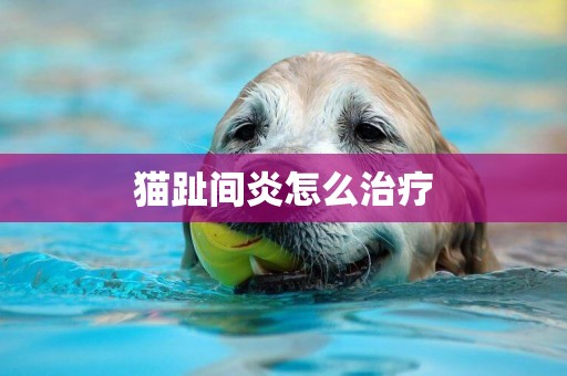貓趾間炎怎么治療