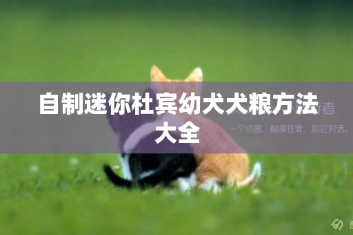 自制迷你杜賓幼犬犬糧方法大全