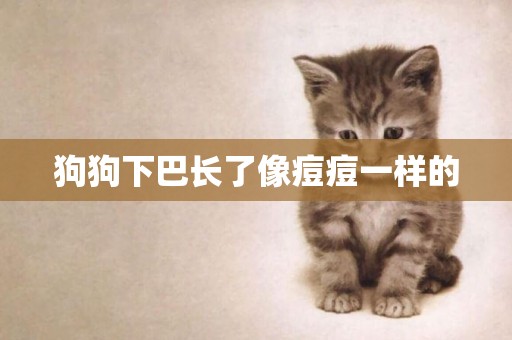 狗狗下巴長了像痘痘一樣的