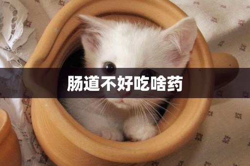 腸道不好吃啥藥