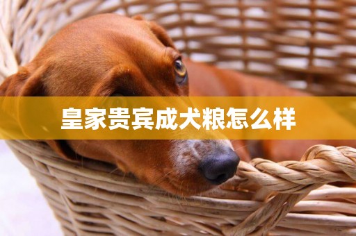 皇家貴賓成犬糧怎么樣