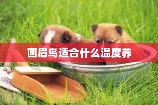 畫眉鳥適合什么溫度養