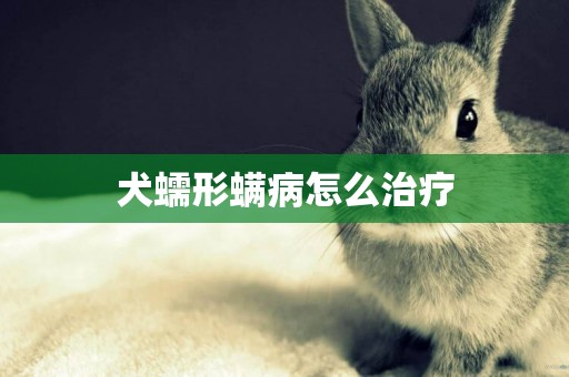 犬蠕形螨病怎么治療