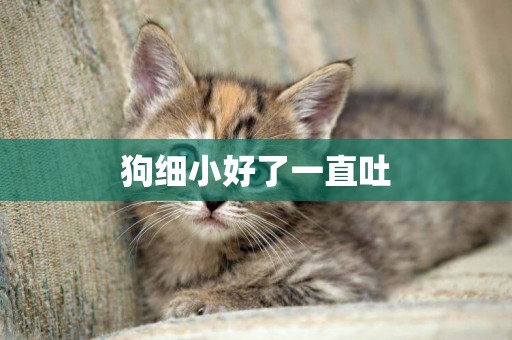 狗細小好了一直吐
