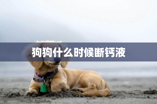 狗狗什么時候斷鈣液