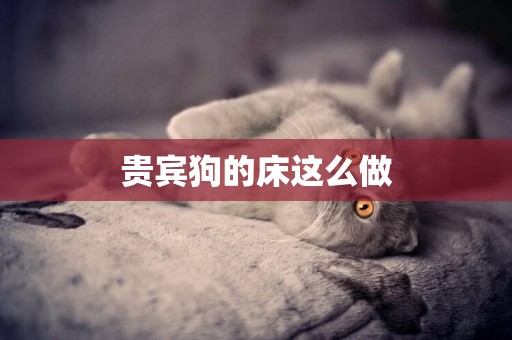 貴賓狗的床這么做
