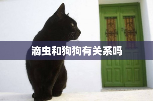 滴蟲和狗狗有關系嗎