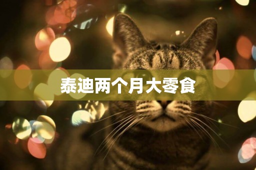 泰迪兩個月大零食