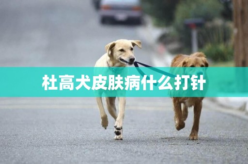 杜高犬皮膚病什么打針