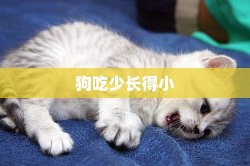 狗吃少長得小